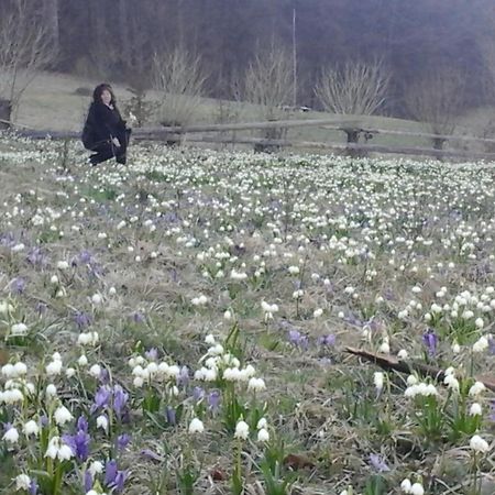 Садиба Під Гострою Zhdeniievo Εξωτερικό φωτογραφία