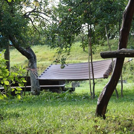 Садиба Під Гострою Zhdeniievo Εξωτερικό φωτογραφία