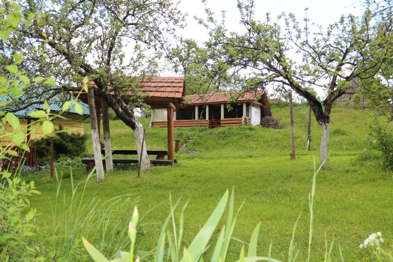 Садиба Під Гострою Zhdeniievo Εξωτερικό φωτογραφία